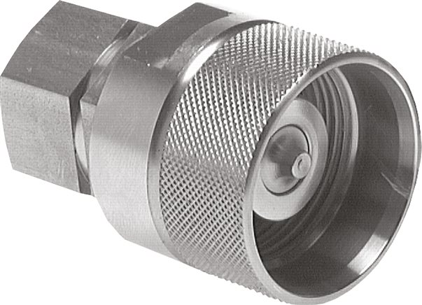 Exemplary representation: Quick-release screw couplings with female thread, plug, stainless steel